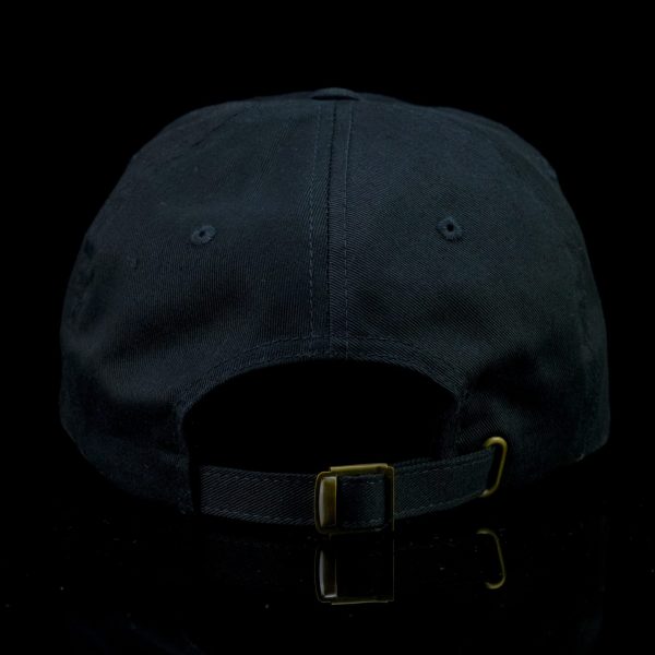 TERPOMETER Cap (Black/Black) - Image 2