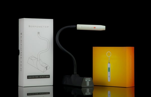 Terp IR white + Docking station